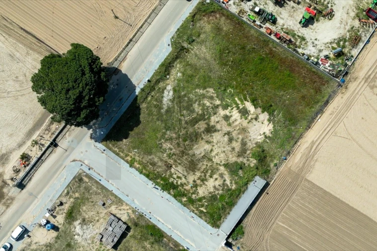 Terreno para Venda em Alpiarça Foto 9