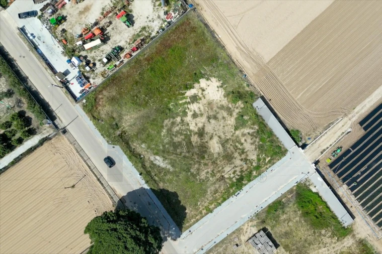 Terreno para Venda em Alpiarça Foto 7