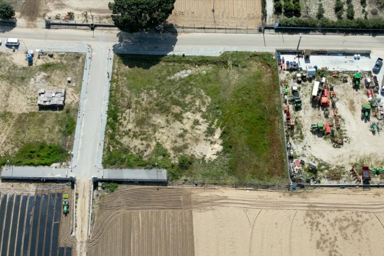 Terreno para Venda em Alpiarça Foto 11