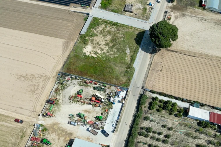Terreno para Venda em Alpiarça Foto 6