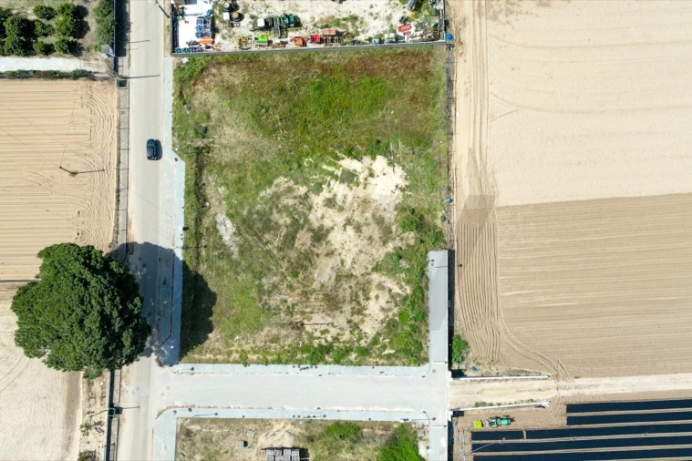 Terreno para Venda em Alpiarça Foto 8