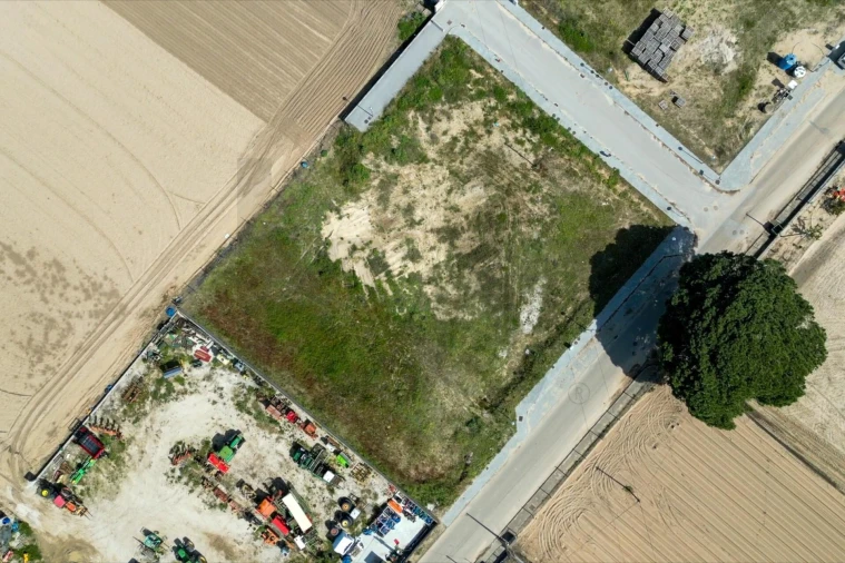 Terreno para Venda em Alpiarça Foto 3
