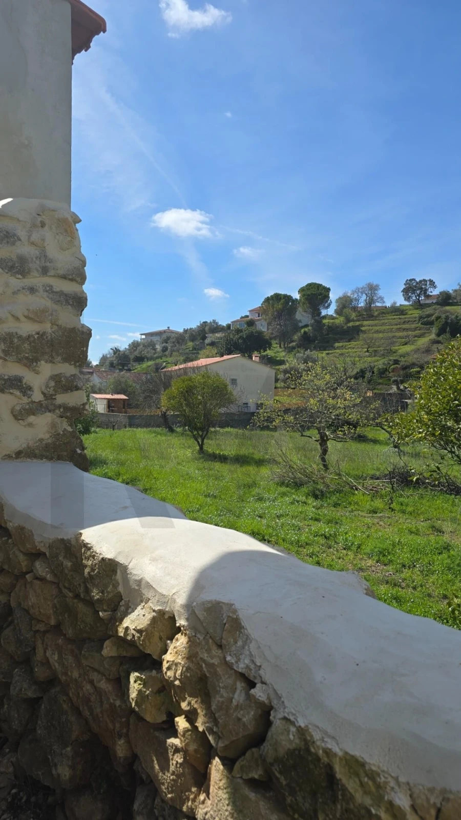 Moradia T1 para Venda em Carregueiros Foto 19