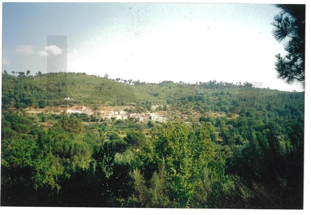 Terreno para Venda em Alcafache Foto 6