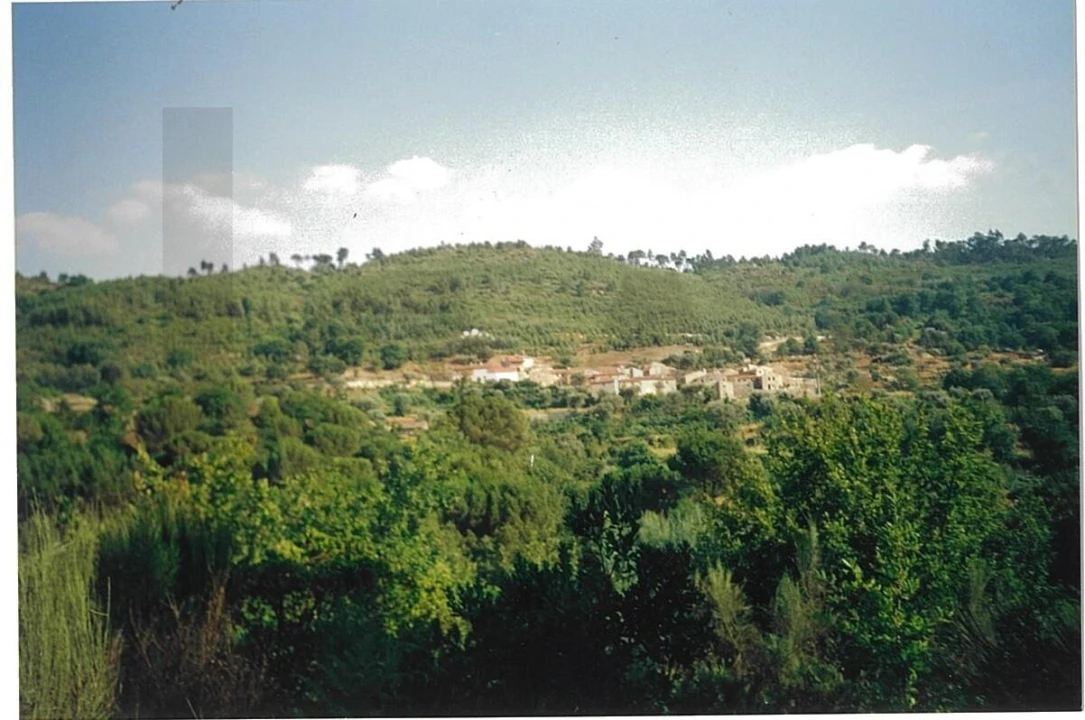 Terreno para Venda em Alcafache Foto 7