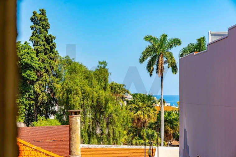 Prédio para Venda em Funchal (Se) Foto 16