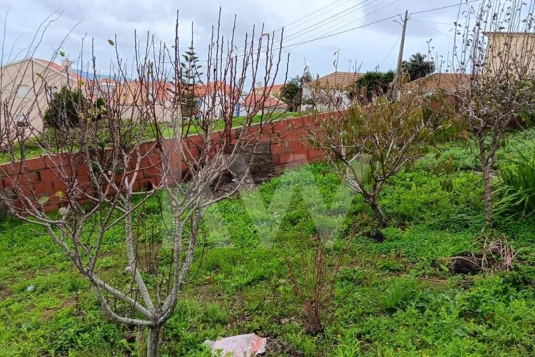 Terreno para Venda em Malveira e São Miguel de Alcainça Foto 6