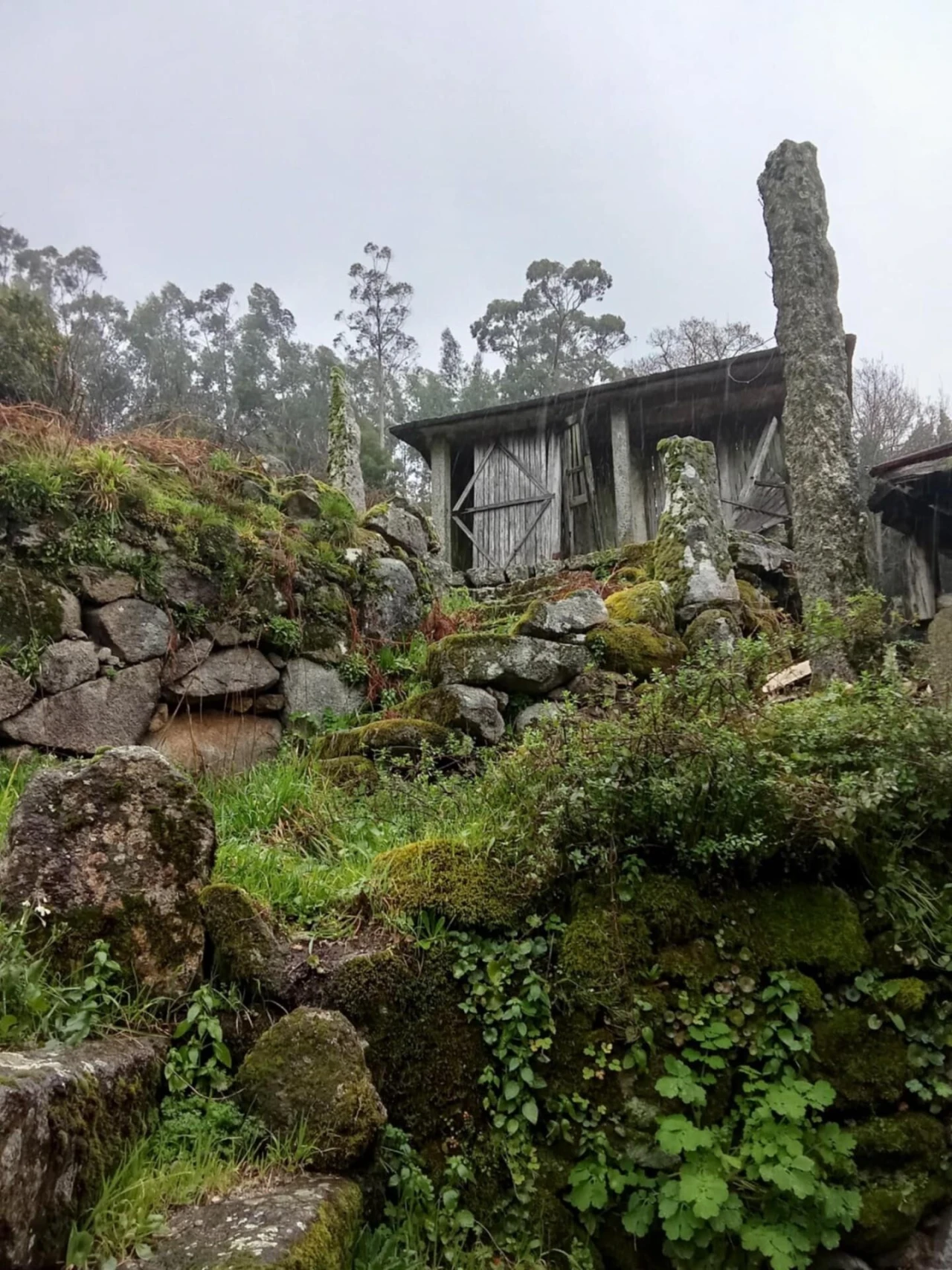 Moradia T4 para Venda em Alcofra Foto 4