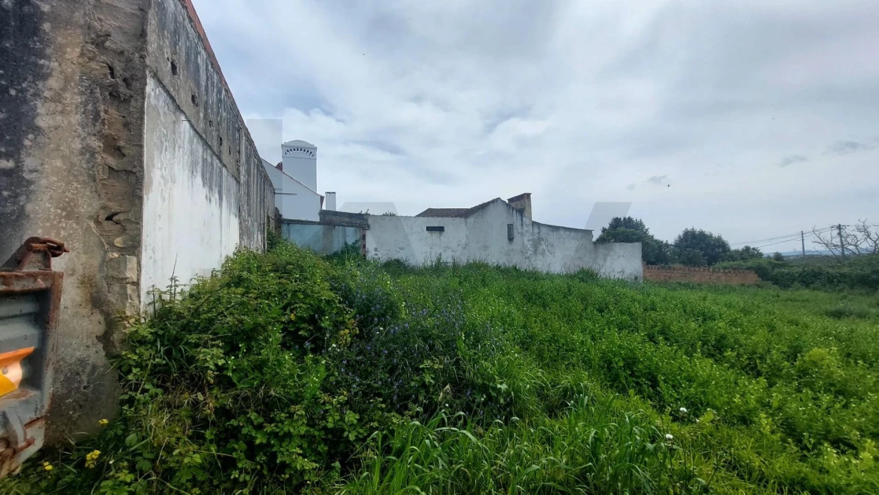 Terreno para Venda em Aveiras de Cima Foto 11