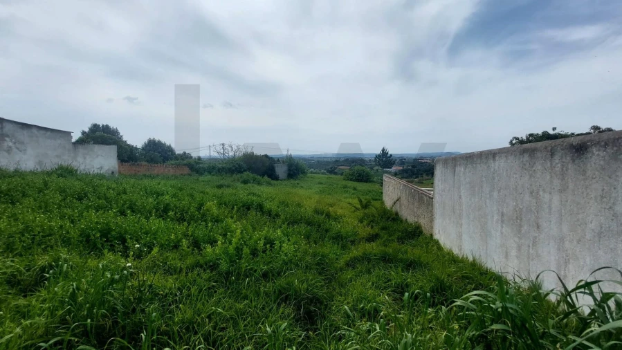 Terreno para Venda em Aveiras de Cima Foto 4