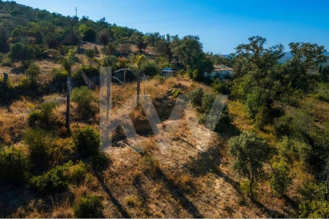 Terreno para Venda em Querença, Tôr e Benafim Foto 5