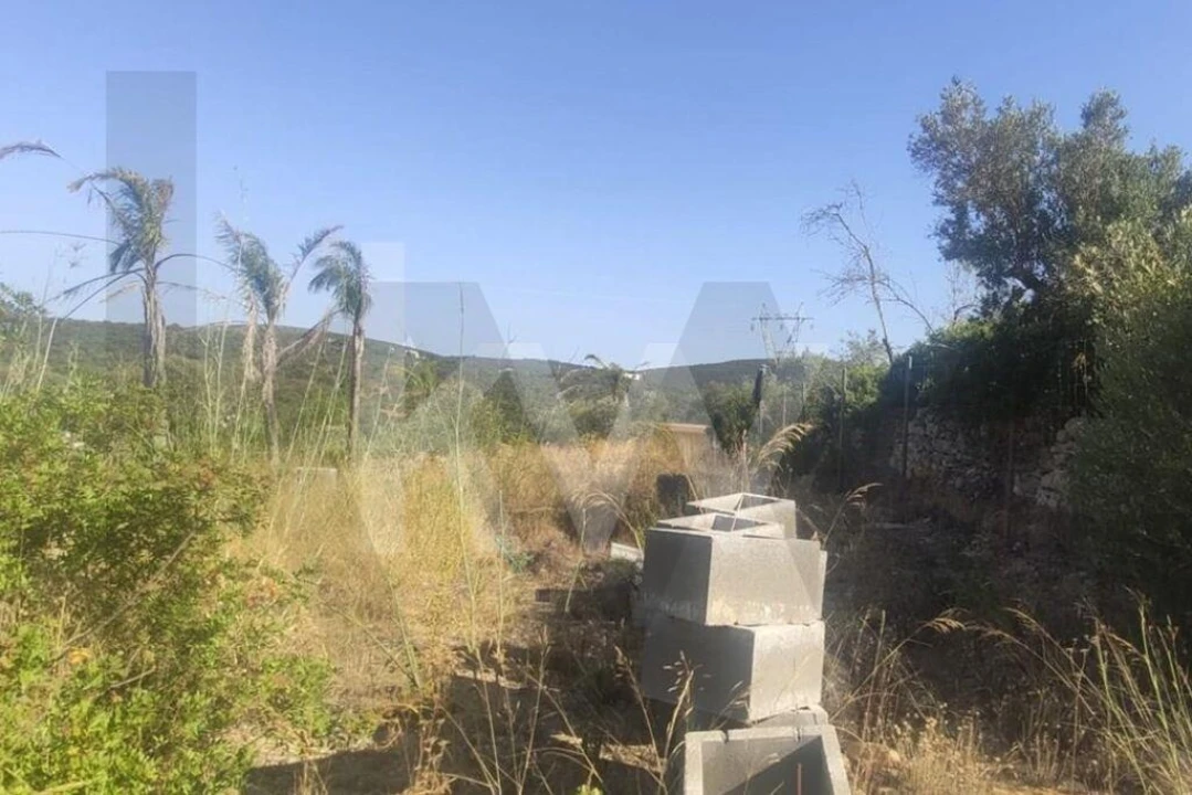Terreno para Venda em Querença, Tôr e Benafim Foto 13