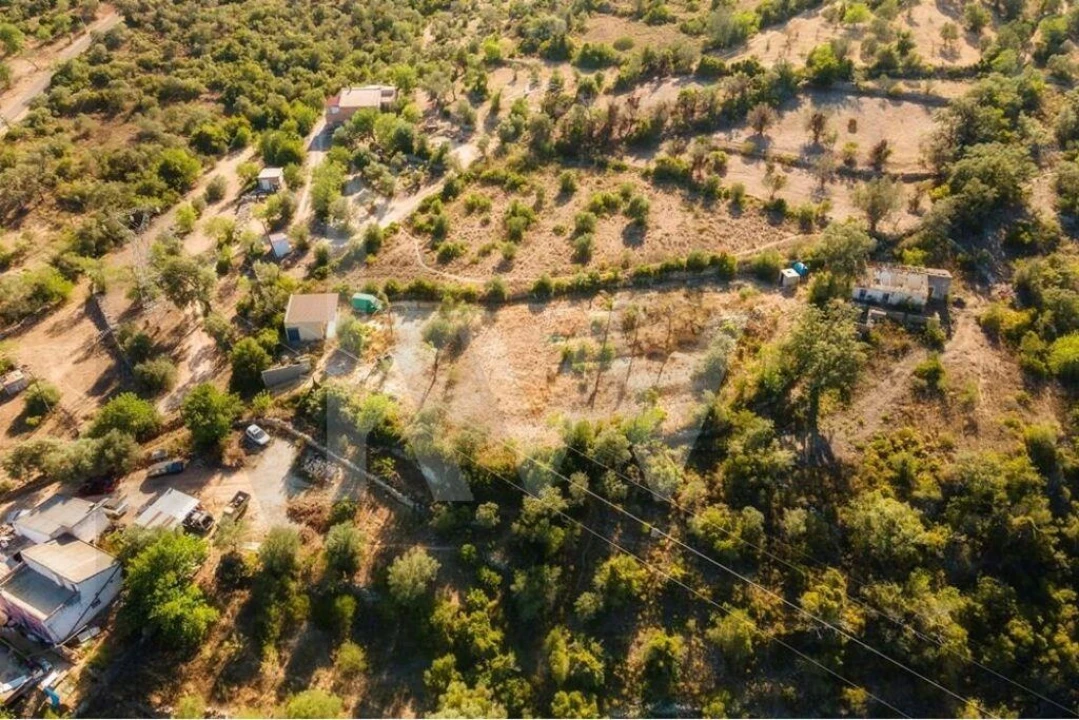 Terreno para Venda em Querença, Tôr e Benafim Foto 19