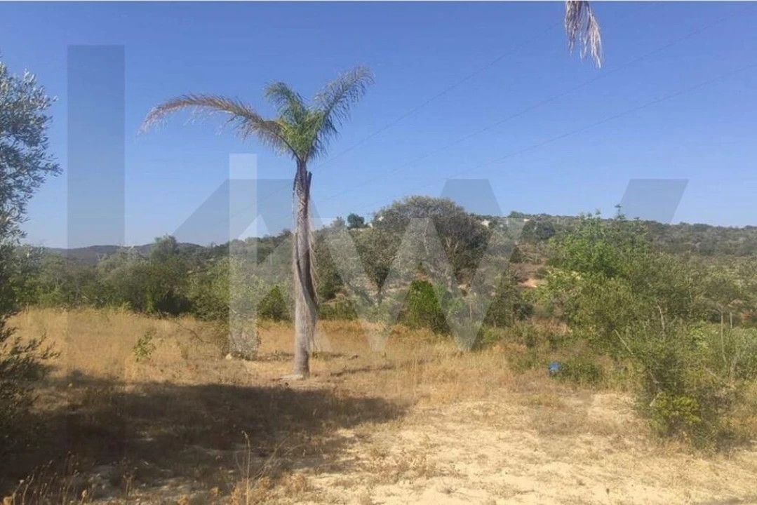 Terreno para Venda em Querença, Tôr e Benafim Foto 18