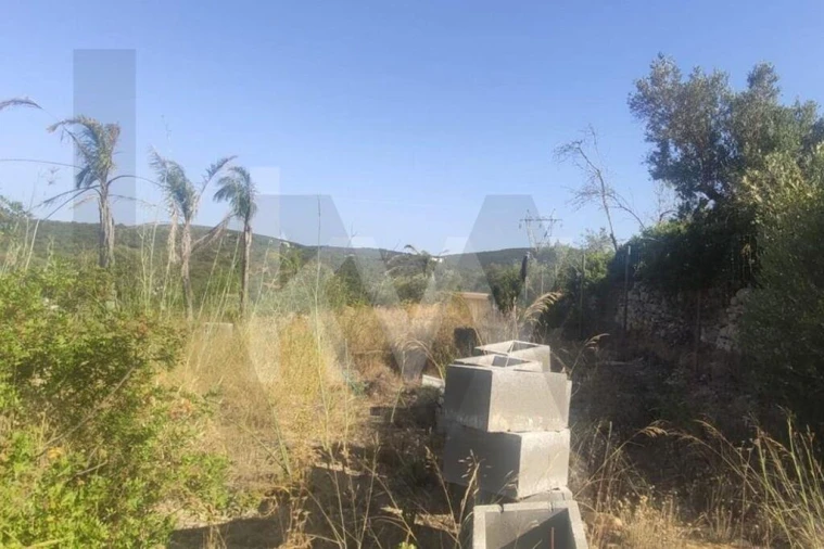 Terreno para Venda em Querença, Tôr e Benafim Foto 13