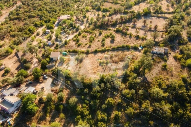 Terreno para Venda em Querença, Tôr e Benafim Foto 19