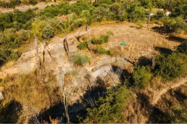 Terreno para Venda em Querença, Tôr e Benafim Foto 25