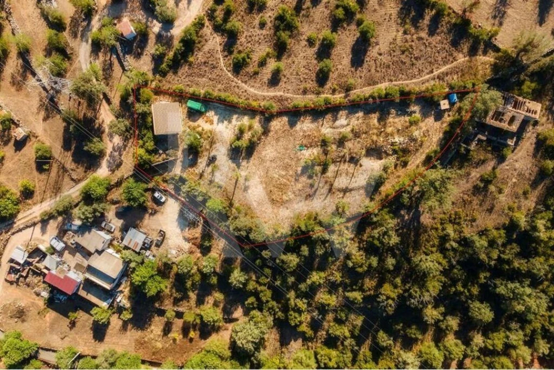 Terreno para Venda em Querença, Tôr e Benafim Foto 7