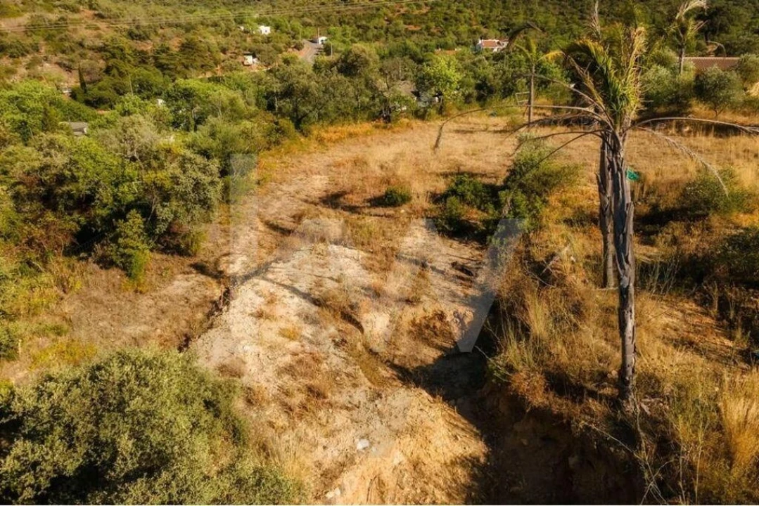 Terreno para Venda em Querença, Tôr e Benafim Foto 24