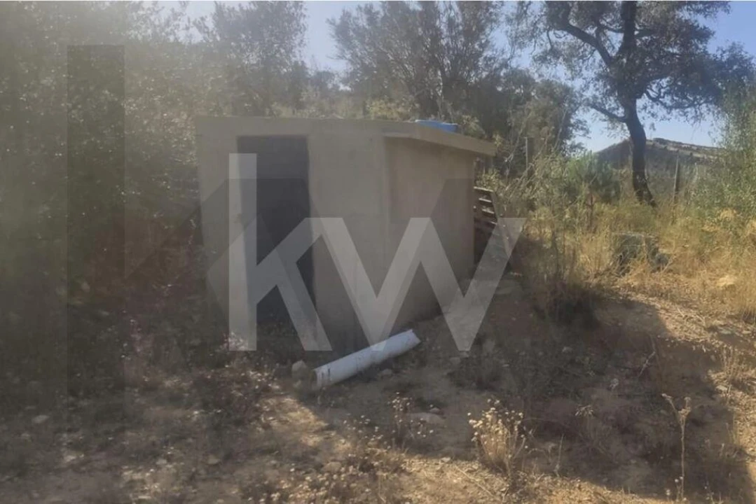 Terreno para Venda em Querença, Tôr e Benafim Foto 14