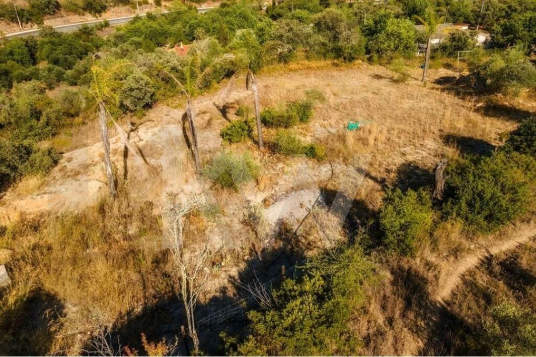 Terreno para Venda em Querença, Tôr e Benafim Foto 25