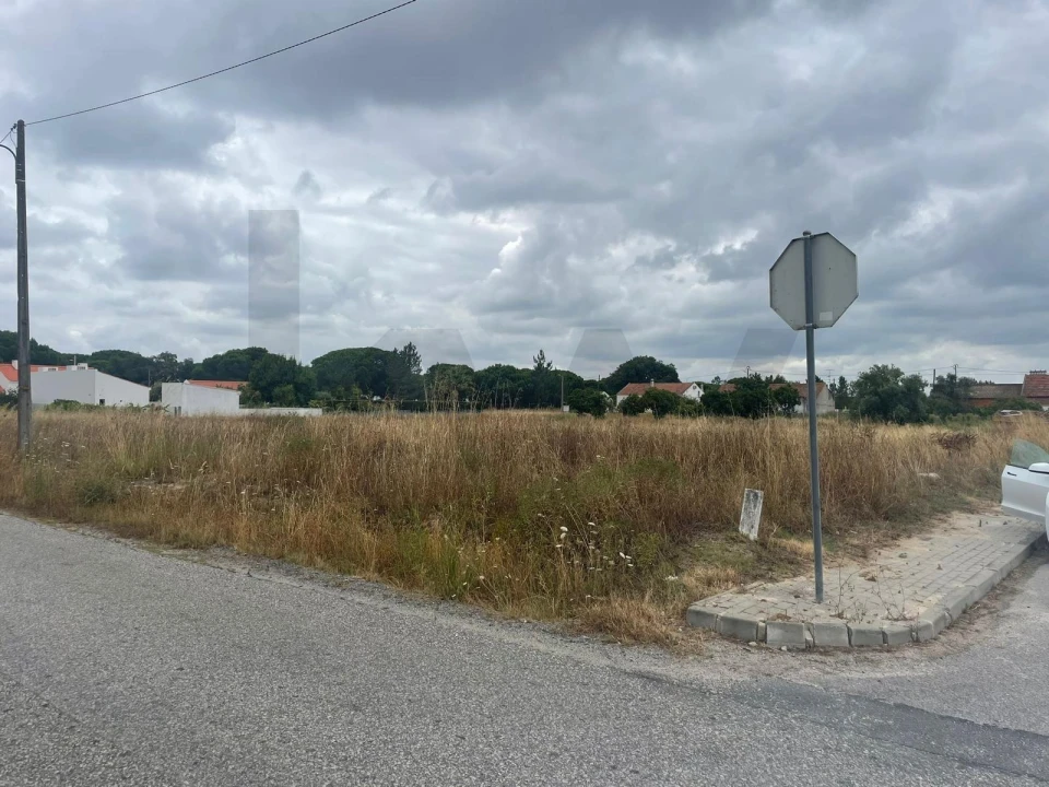 Terreno para Venda em Torrão Foto 6