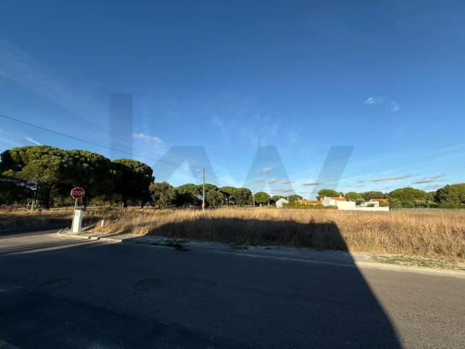 Terreno para Venda em Torrão Foto 4