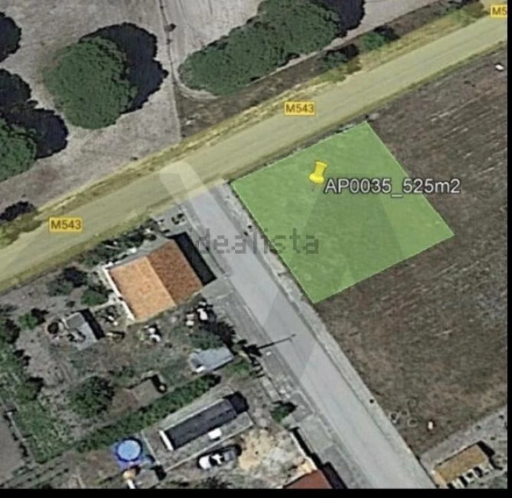 Terreno para Venda em Torrão Foto 5