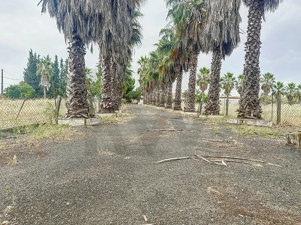 Quinta T4 para Venda em Vila de Frades Foto 5