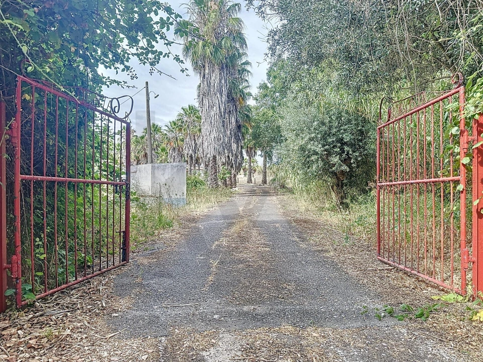 Quinta T4 para Venda em Vila de Frades Foto 4