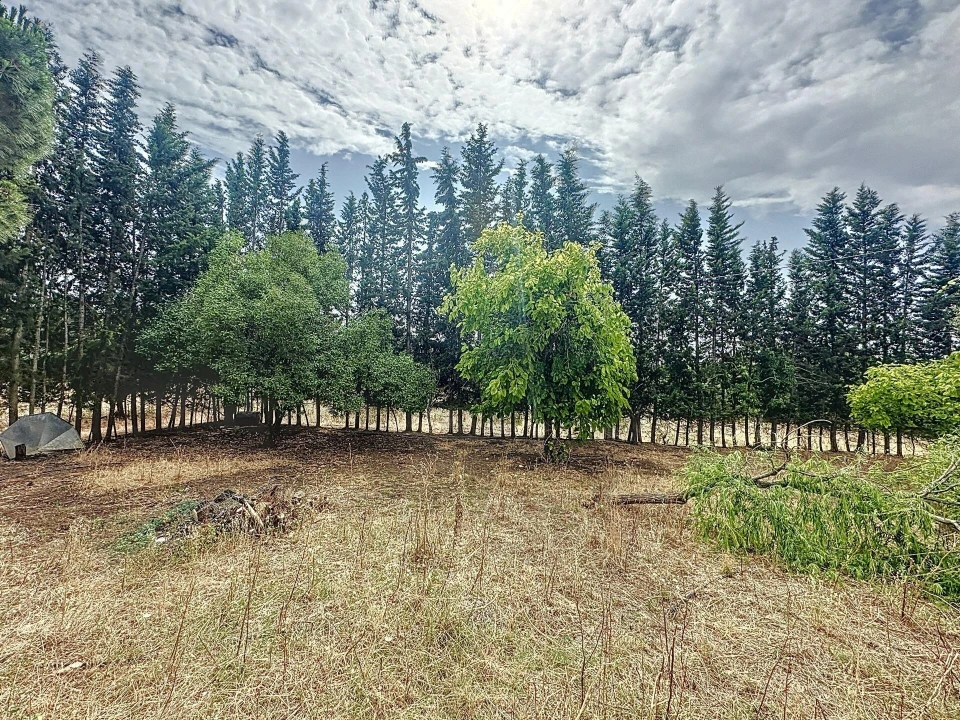 Quinta T4 para Venda em Vila de Frades Foto 58