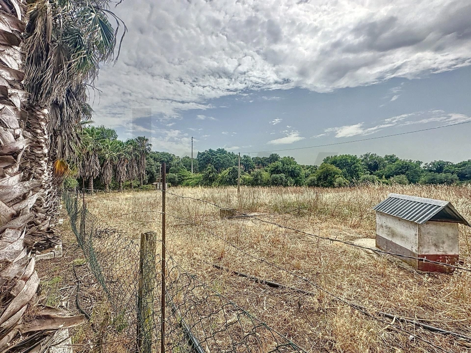Quinta T4 para Venda em Vila de Frades Foto 86