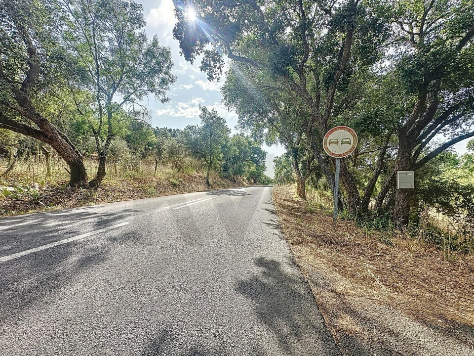 Quinta T4 para Venda em Vila de Frades Foto 91