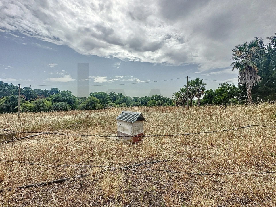 Quinta T4 para Venda em Vila de Frades Foto 87