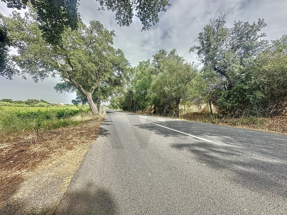 Quinta T4 para Venda em Vila de Frades Foto 90