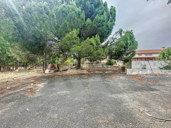 Quinta T4 para Venda em Vila de Frades Foto 6