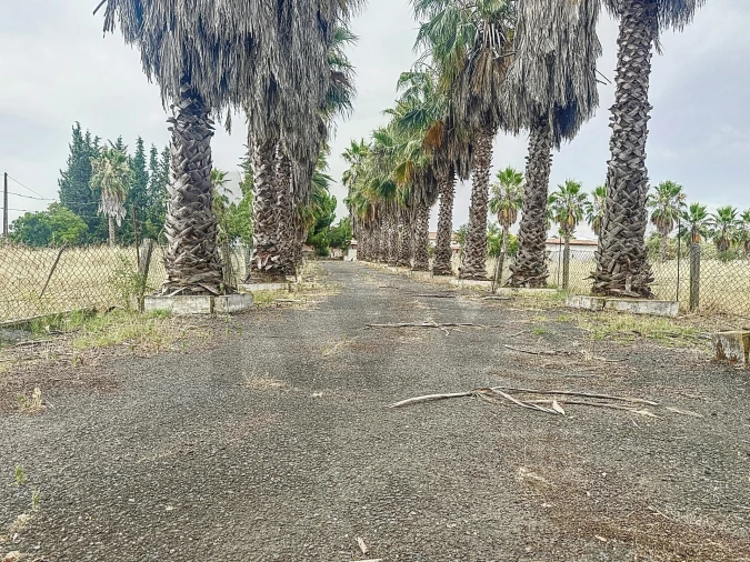 Quinta T4 para Venda em Vila de Frades Foto 5