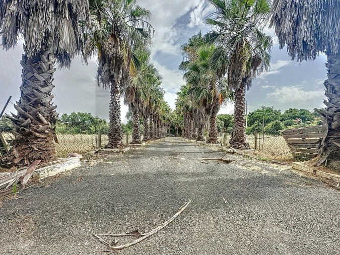 Quinta T4 para Venda em Vila de Frades Foto 89