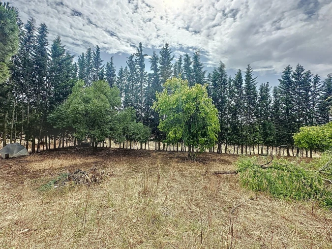 Quinta T4 para Venda em Vila de Frades Foto 58