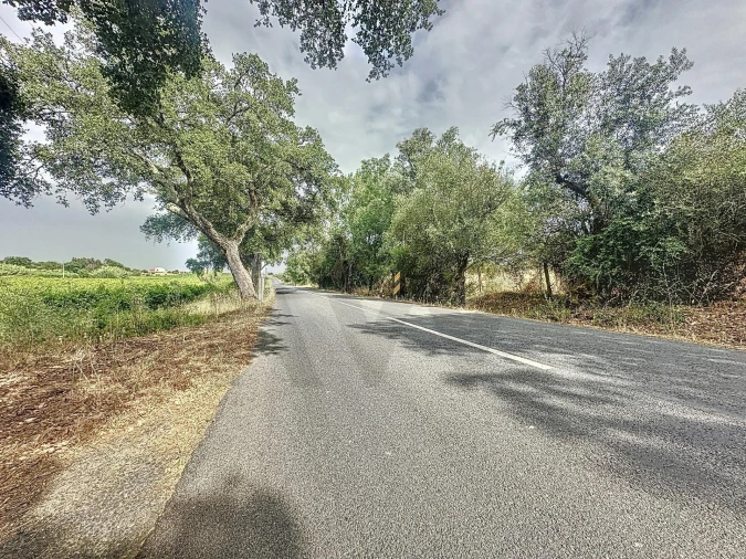 Quinta T4 para Venda em Vila de Frades Foto 90