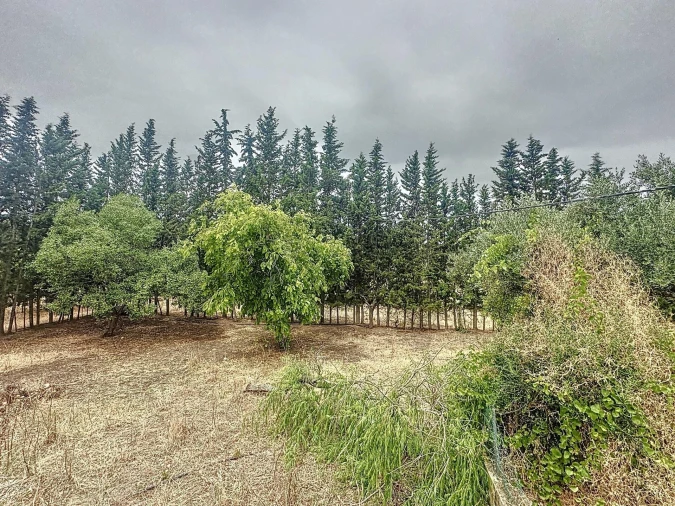 Quinta T4 para Venda em Vila de Frades Foto 33