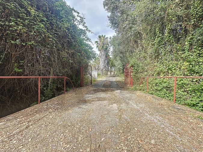 Quinta T4 para Venda em Vila de Frades Foto 3