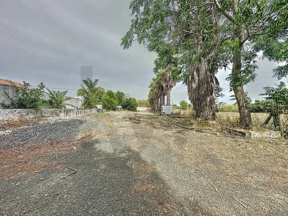 Quinta T4 para Venda em Vila de Frades Foto 79