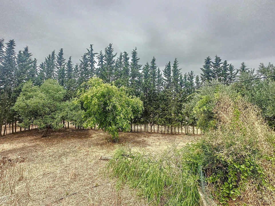 Quinta T4 para Venda em Vila de Frades Foto 33