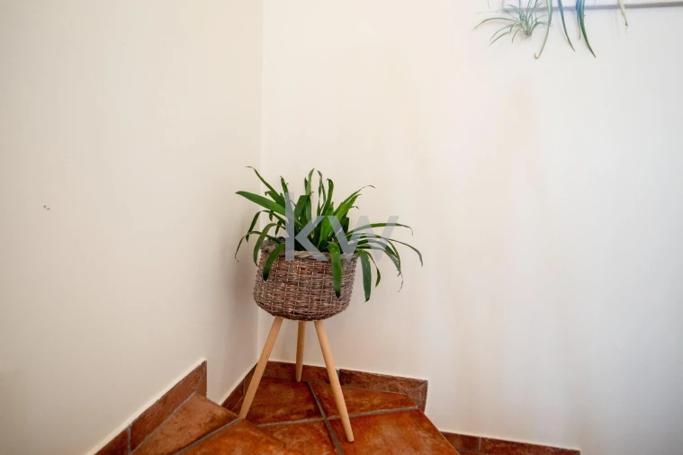 Moradia T5 para Venda em Encarnação Foto 57