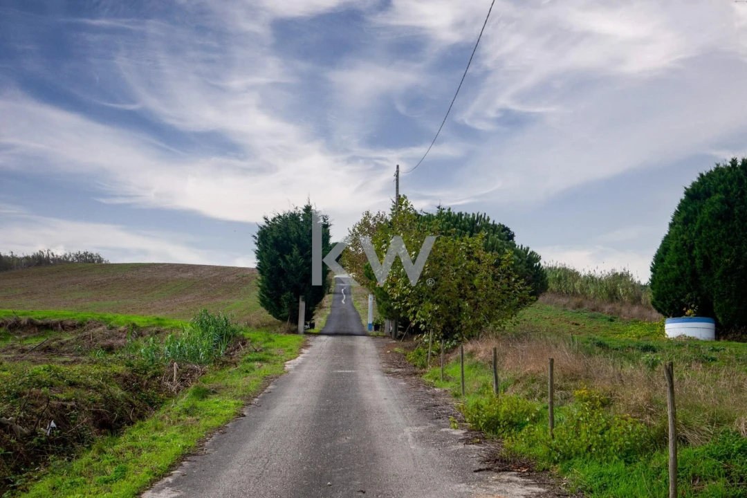 Moradia T5 para Venda em Encarnação Foto 63
