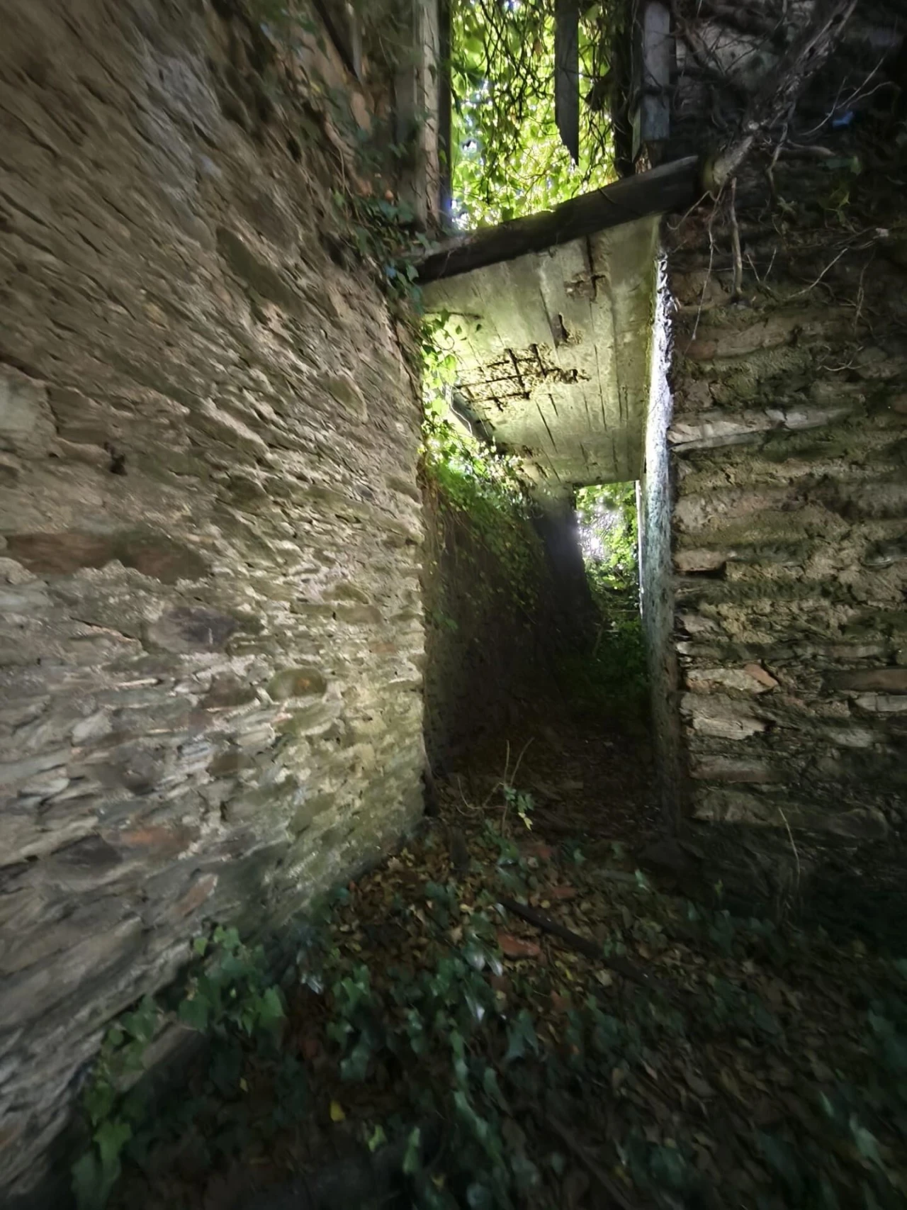 Moradia T3 para Venda em Lorvão Foto 6