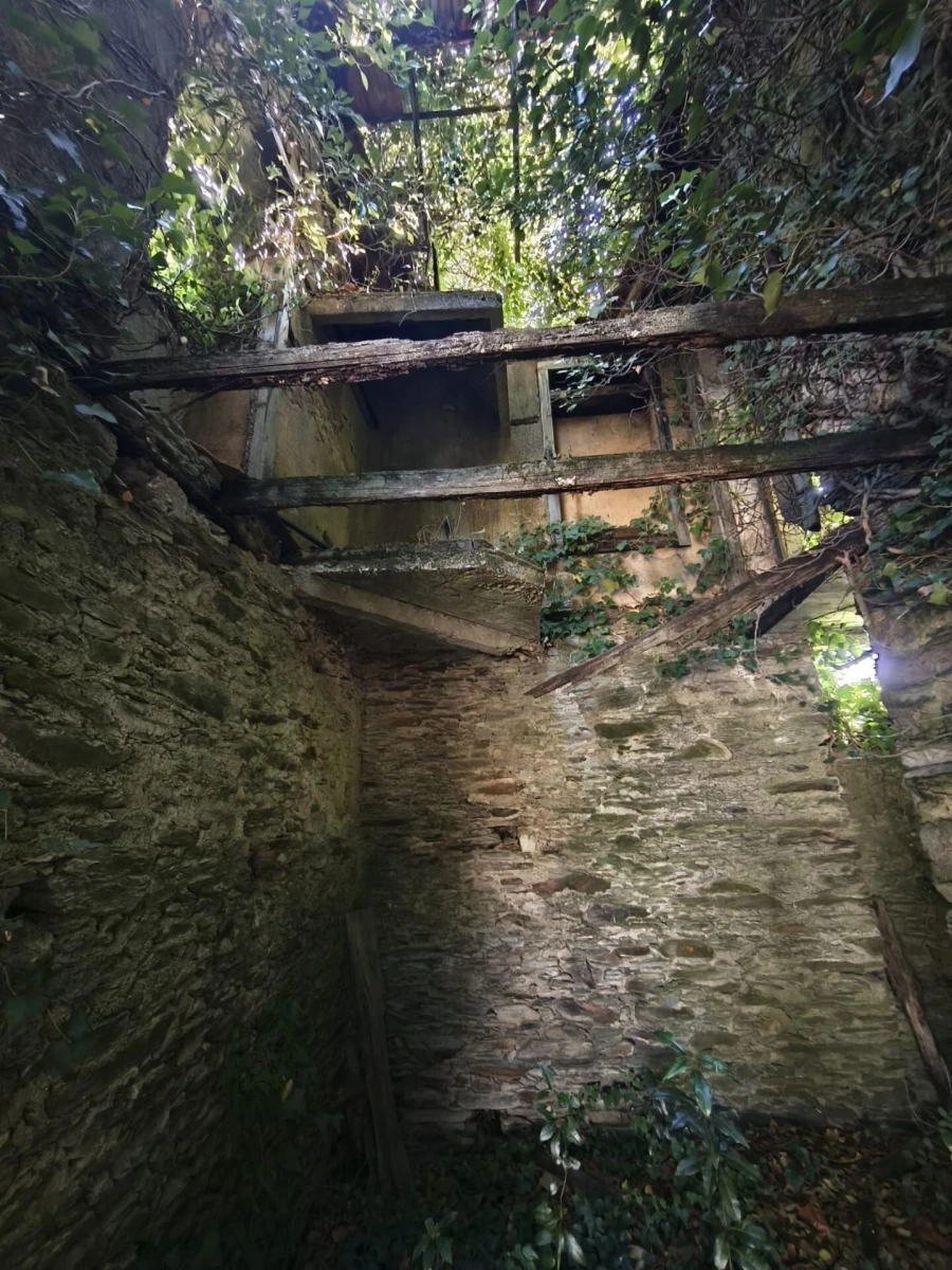 Moradia T3 para Venda em Lorvão Foto 5