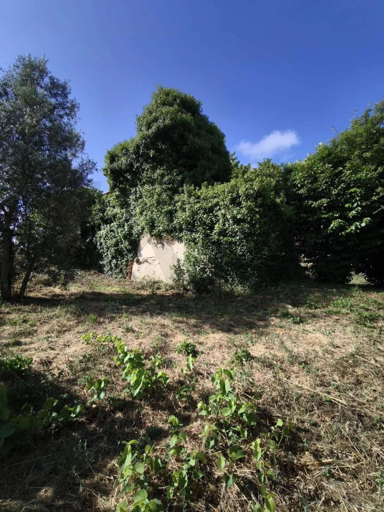 Moradia T3 para Venda em Lorvão Foto 8