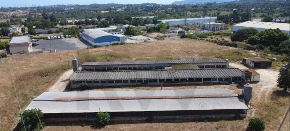 Terreno para Venda em Palmela